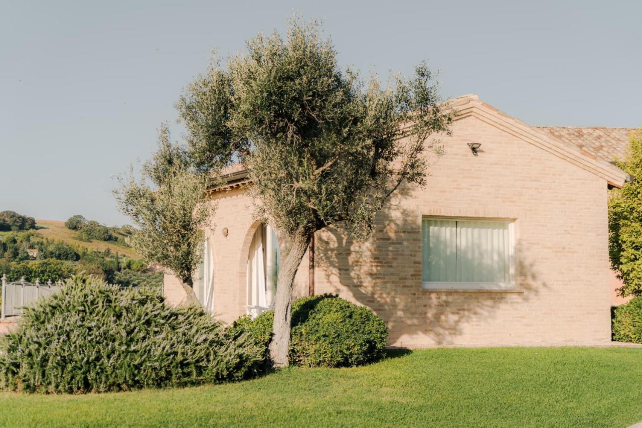 Bed and Breakfast Nontiscordardimé Civitanova Marche Esterno foto
