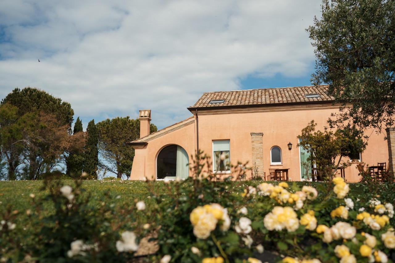 Bed and Breakfast Nontiscordardimé Civitanova Marche Esterno foto