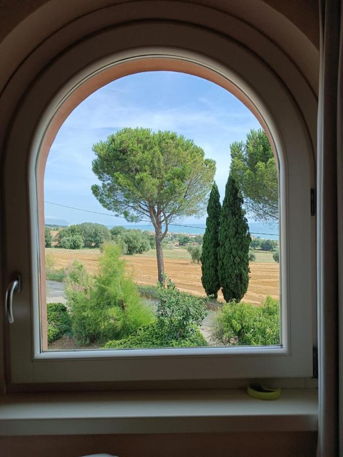 Bed and Breakfast Nontiscordardimé Civitanova Marche Esterno foto
