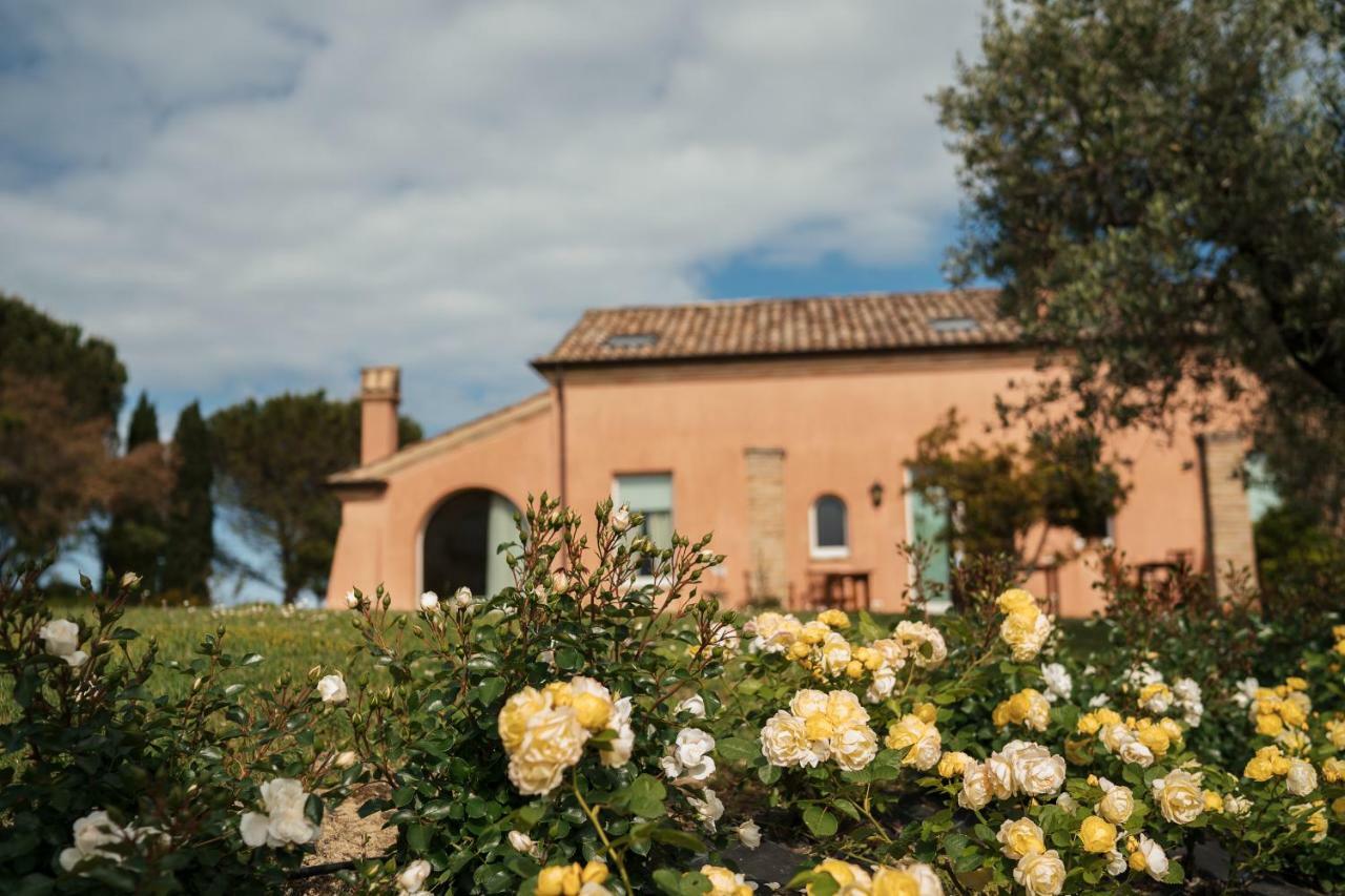 Bed and Breakfast Nontiscordardimé Civitanova Marche Esterno foto